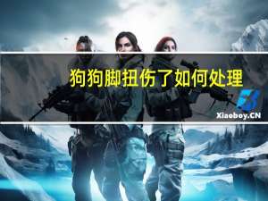 狗狗脚扭伤了如何处理