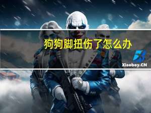 狗狗脚扭伤了怎么办