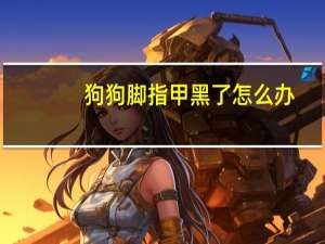 狗狗脚指甲黑了怎么办