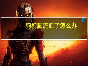 狗狗脚流血了怎么办