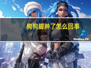 狗狗脚肿了怎么回事