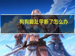 狗狗脚趾甲断了怎么办