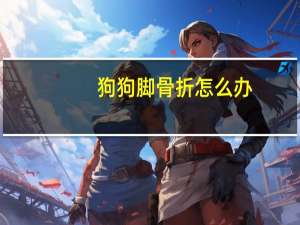 狗狗脚骨折怎么办