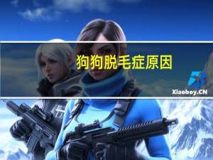 狗狗脱毛症原因