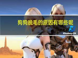 狗狗脱毛的原因有哪些呢