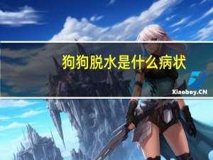 狗狗脱水是什么病状
