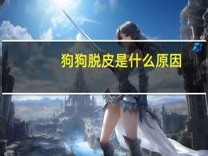 狗狗脱皮是什么原因