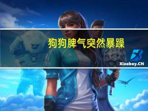 狗狗脾气突然暴躁