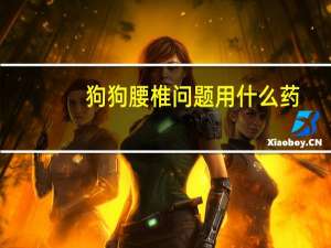 狗狗腰椎问题用什么药