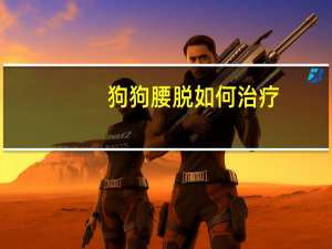 狗狗腰脱如何治疗