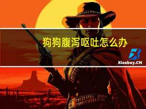 狗狗腹泻呕吐怎么办