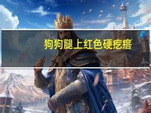 狗狗腿上红色硬疙瘩