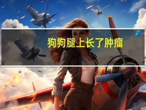 狗狗腿上长了肿瘤