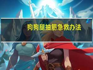 狗狗腿抽筋急救办法