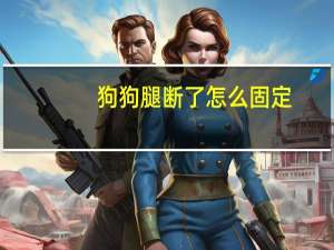 狗狗腿断了怎么固定