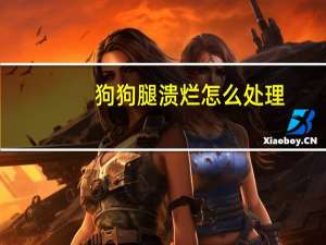 狗狗腿溃烂怎么处理