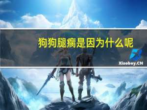 狗狗腿瘸是因为什么呢