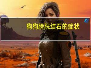 狗狗膀胱结石的症状（膀胱结石的症状）