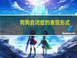 狗狗自闭症的表现形式