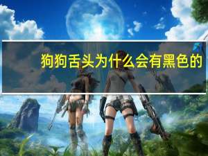 狗狗舌头为什么会有黑色的