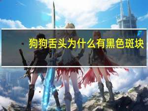 狗狗舌头为什么有黑色斑块