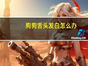 狗狗舌头发白怎么办