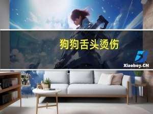 狗狗舌头烫伤