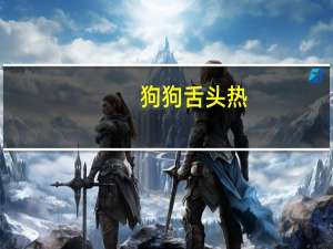 狗狗舌头热