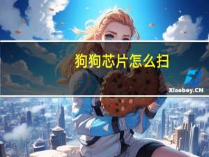 狗狗芯片怎么扫