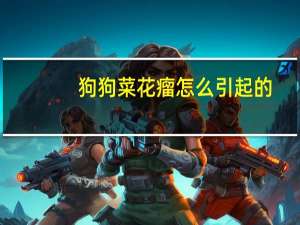 狗狗菜花瘤怎么引起的