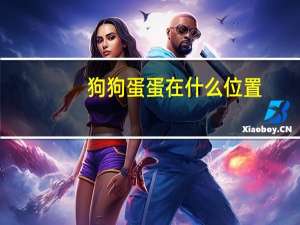 狗狗蛋蛋在什么位置