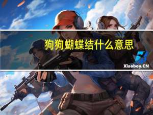 狗狗蝴蝶结什么意思