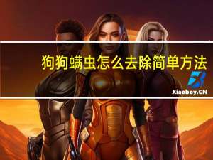 狗狗螨虫怎么去除简单方法