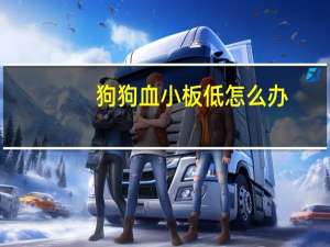 狗狗血小板低怎么办