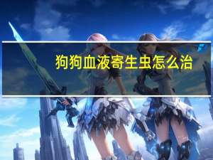狗狗血液寄生虫怎么治
