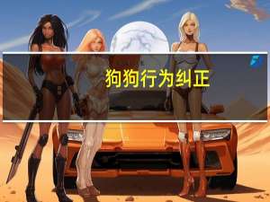 狗狗行为纠正