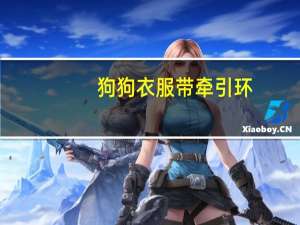 狗狗衣服带牵引环