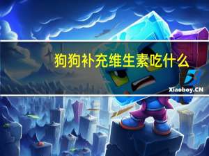 狗狗补充维生素吃什么