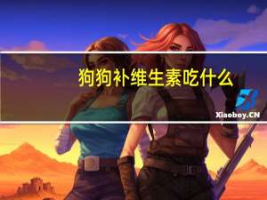 狗狗补维生素吃什么
