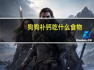 狗狗补钙吃什么食物