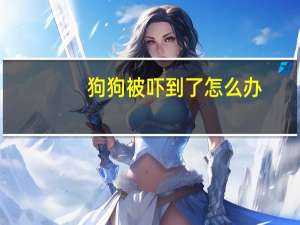 狗狗被吓到了怎么办
