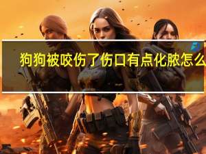 狗狗被咬伤了伤口有点化脓怎么办