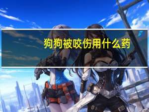 狗狗被咬伤用什么药