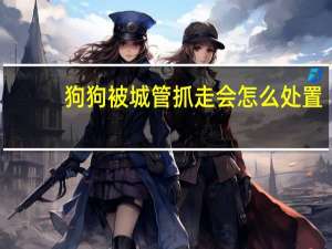 狗狗被城管抓走会怎么处置