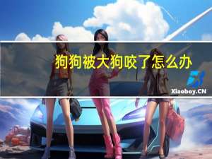 狗狗被大狗咬了怎么办