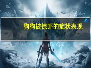 狗狗被惊吓的症状表现