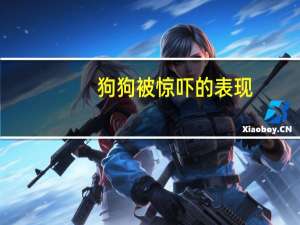 狗狗被惊吓的表现