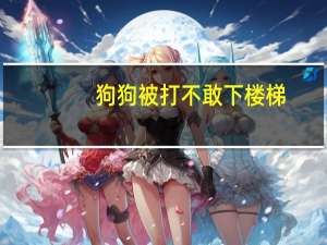 狗狗被打不敢下楼梯