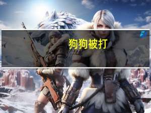 狗狗被打