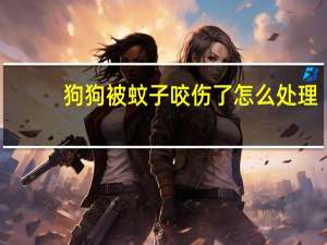 狗狗被蚊子咬伤了怎么处理